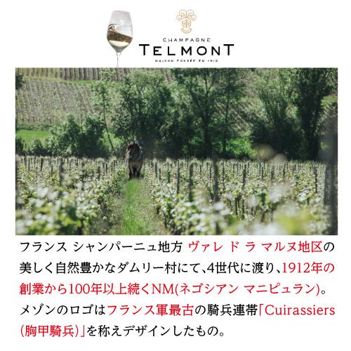 シャンパーニュ テルモン ブラン ド ブラン ヴィノテーク 2005 750ml ヴァレ ド ラ マルヌ ダムリー サステナブル シャンパン 辛口 虎 ブラン ヴァレ