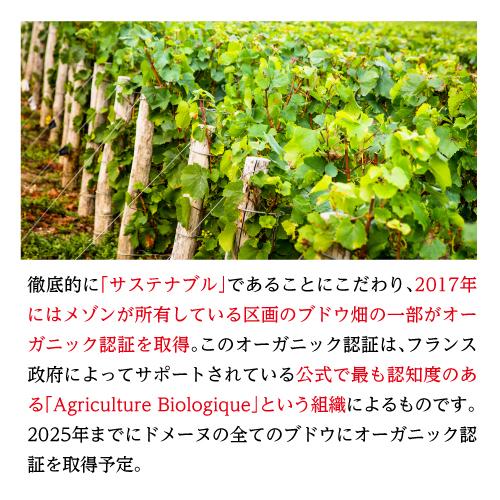 シャンパーニュ テルモン ブラン ド ブラン ヴィノテーク 2005 750ml ヴァレ ド ラ マルヌ ダムリー サステナブル シャンパン 辛口 虎 ブラン ヴァレ