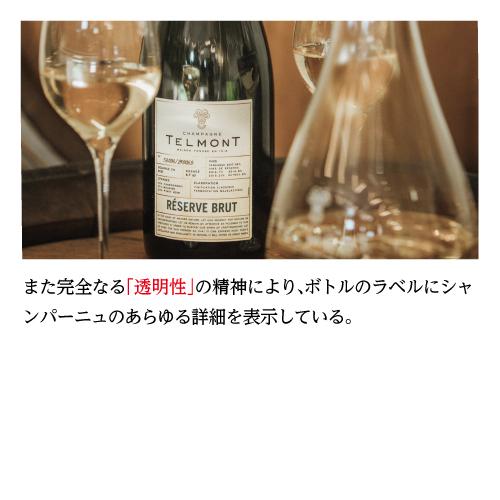 シャンパーニュ テルモン ブラン ド ブラン ヴィノテーク 2005 750ml ヴァレ ド ラ マルヌ ダムリー サステナブル シャンパン 辛口 虎 ブラン ヴァレ