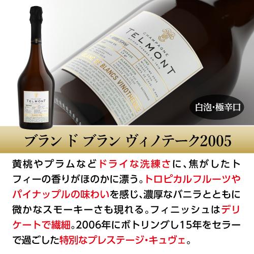 TELMONT シャンパン ブラン・ド・ブラン ヴィノテーク 2006 テルモン