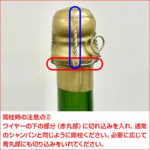 シャンパン 送料無料 サン ガール オルパール ブラン ド ブラン グランクリュ ゼロ ドサージュ 2002 750ml辛口 浜運Aの画像