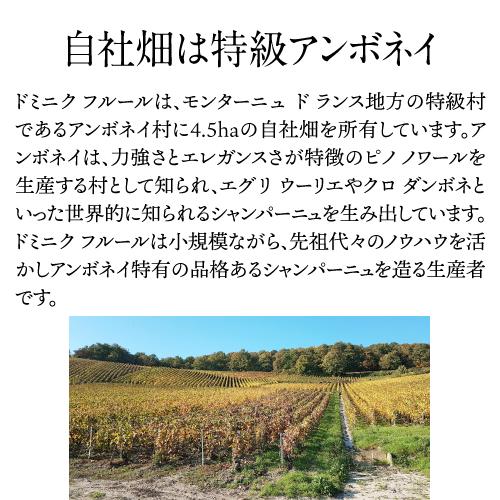 送料無料 シャンパーニュ ドミニク フルール ミレジメ グランクリュ