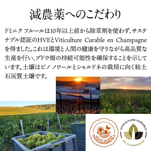 送料無料 シャンパーニュ ドミニク フルール ミレジメ グランクリュ