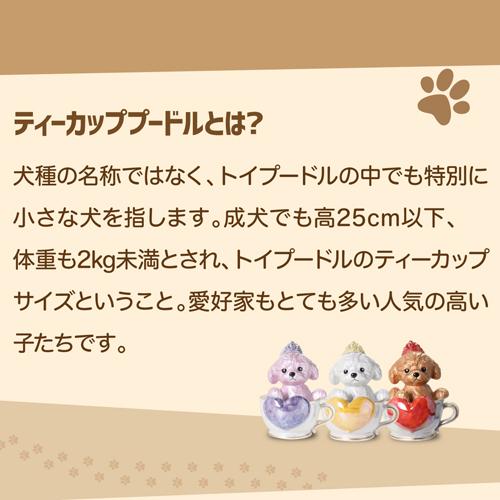 正規品 ブランデー 箱付き ティーカッププードル デキャンタ ローズ