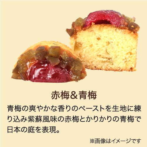 限定 ホシフルーツ フレンチカップケーキ 6個セット 送料無料 6種  ケーキ 果実 スイーツ デザート お取り寄せ ギフト (産直)｜champagnehouse｜06