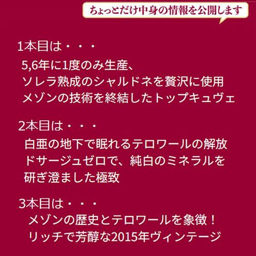 シャンパン3本福袋 ワイン 生産者別に楽しむ パルメ 3本 3.5万円(税別)福袋 シャンパーニュ おひとり様1セット限定 浜運