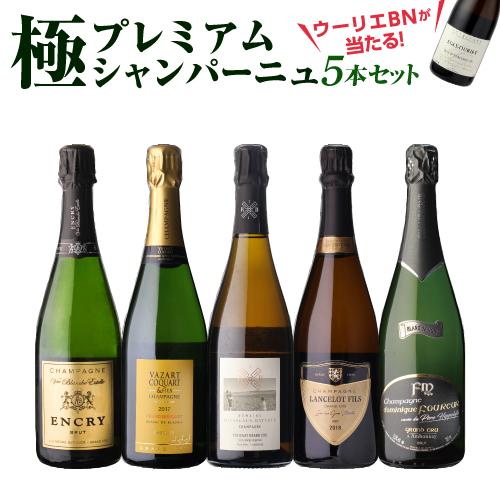 シャンパン シャンパンセット 極 プレミアム シャンパーニュ 5本セット