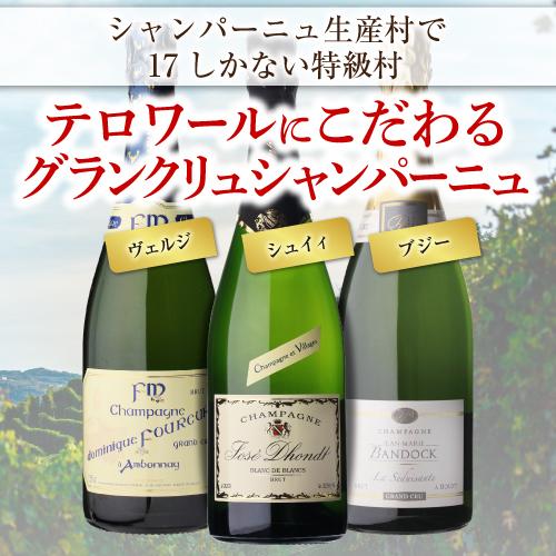 シャンパン シャンパンセット すべて グランクリュ 特選シャンパーニュ