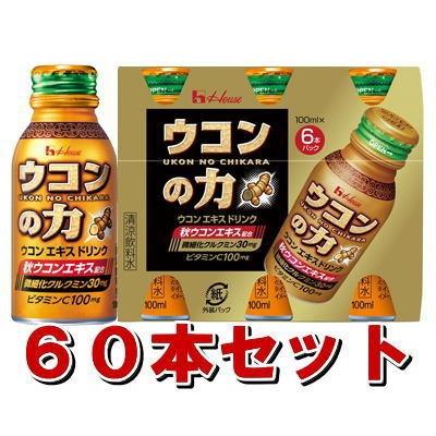 ハウス ウコンの力 ウコンエキスドリンク 100mLX6本X10セット : くすり