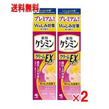 小林製薬 ケシミンクリームEXα 12g×2個セット : くすりのチャンピオン
