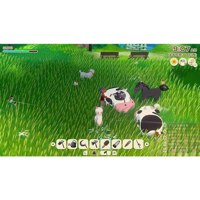 新品】SW2 牧場物語 Let's！風のグランドバザール Nintendo Switch 2