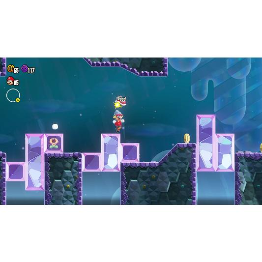 Nintendo Switch 【新品】NSW スーパーマリオブラザーズ