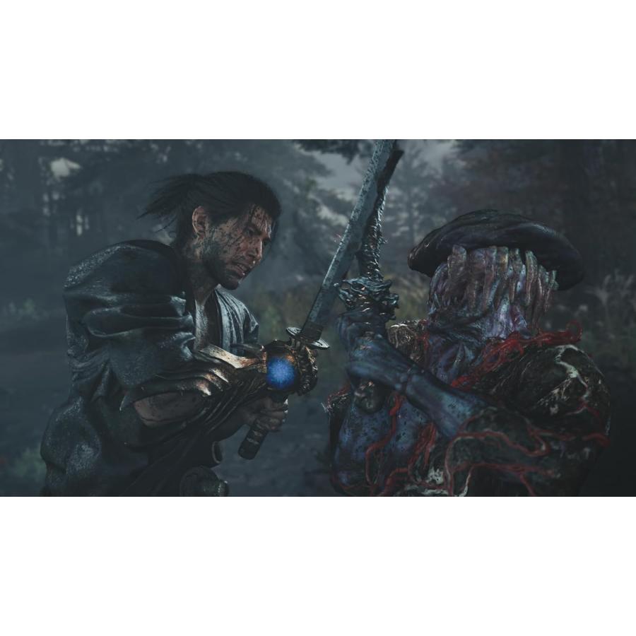 鬼武者 【新品】SW2 Way of the Sword（早期購入特典付）【送料別