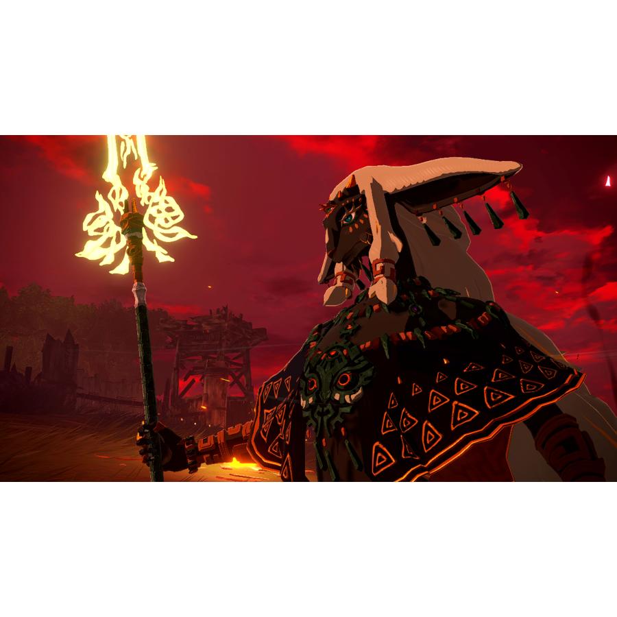 新品】SW2 ゼルダ無双 封印戦記【送料別。メール便・宅配便 配送方法