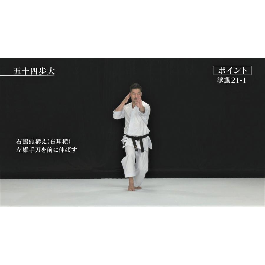 松涛館流空手道形教範全集 得意形1 Vol.2 (Blu-ray) : CHAMP ONLINE