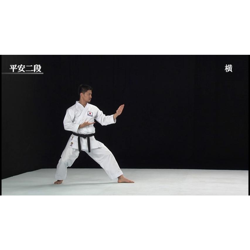 松涛館流空手道形教範全集 基本形 Vol.1 (DVD) : CHAMP ONLINE - 通販