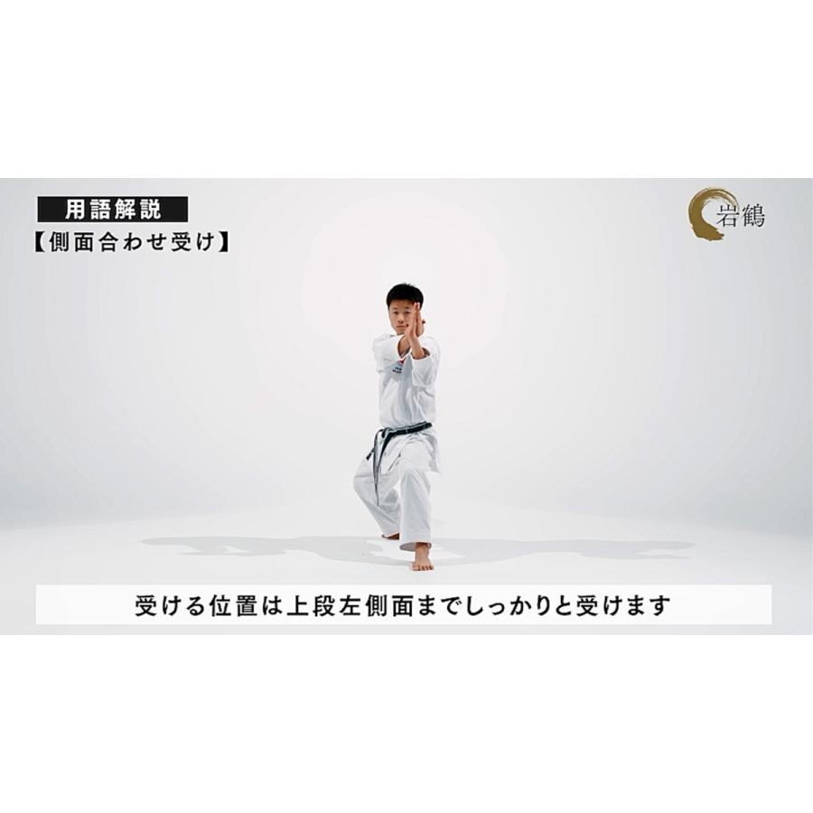 日本空手協会 空手道型 第三巻 (DVD) : CHAMP ONLINE - 通販 - Yahoo