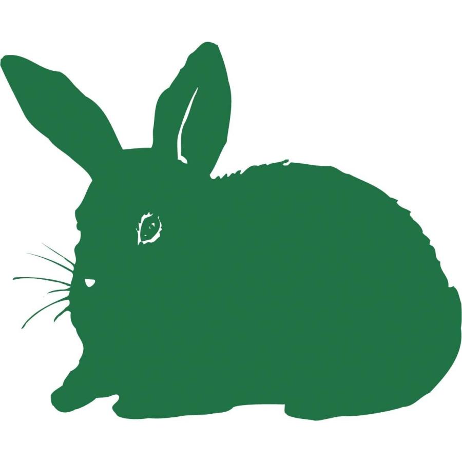 イースター バニーセレクション シニア 3kg Ypt Or Id