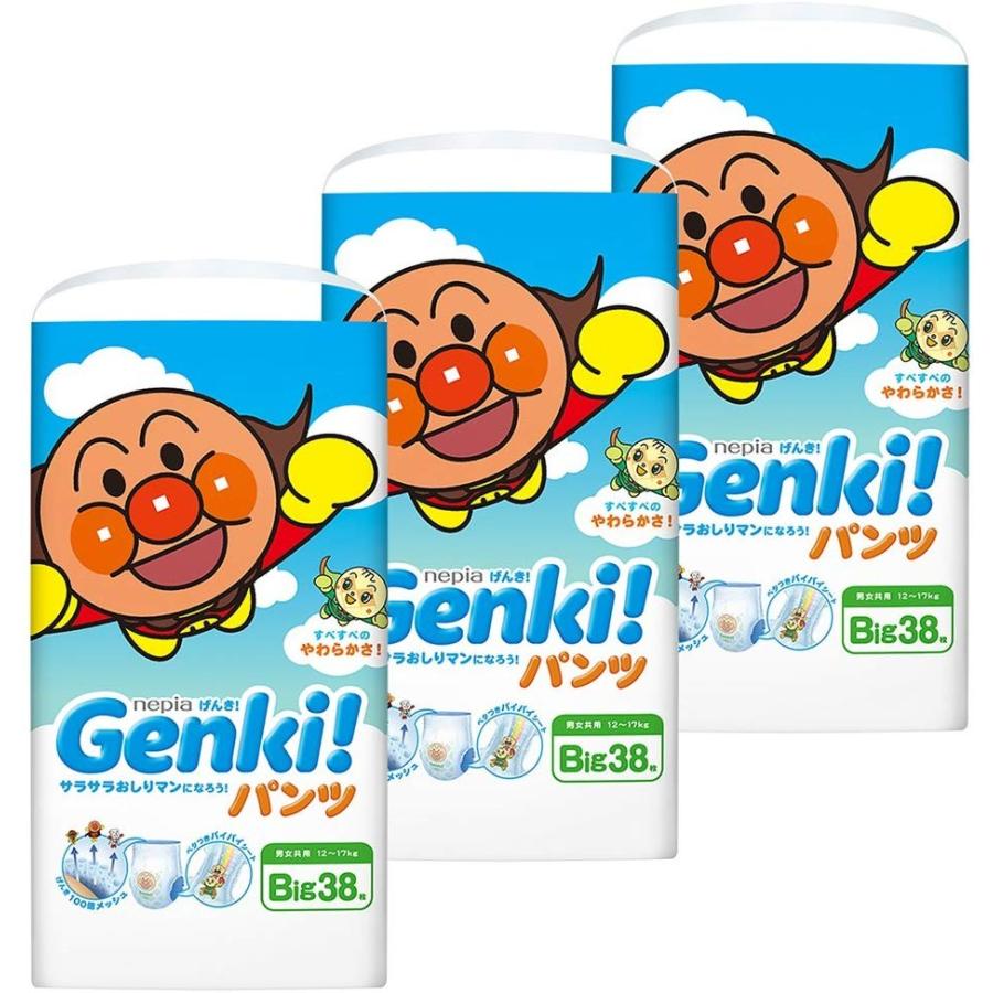 上品 パンツ ケース品 12 17kg 114枚 38枚 3 Bigサイズネピアgenki おむつ トイレ用品 Oyostate Gov Ng