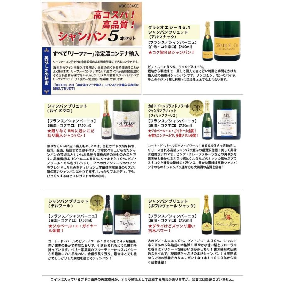 商品情報 高コスパ 高品質シャンパン飲み比べ5本セット W0cg04se 750mlx5本ワインセット Twdyc Outdoor Tents Protable Camping Beach Tent Waterproof For Sun Shelter Travelling Hiking Large Space Color A レザーナイフ 送料無料