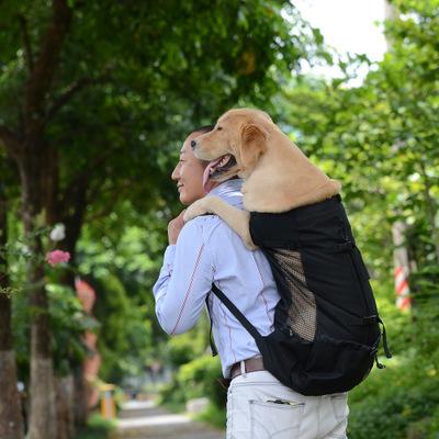 キャリーバッグ スリング ペット犬 大型犬 キャリアメッシュ バックパック 調節可能 オートバイ旅行 ハイキング ペット用品 M チャンムーオンラインストア 通販 Yahoo ショッピング