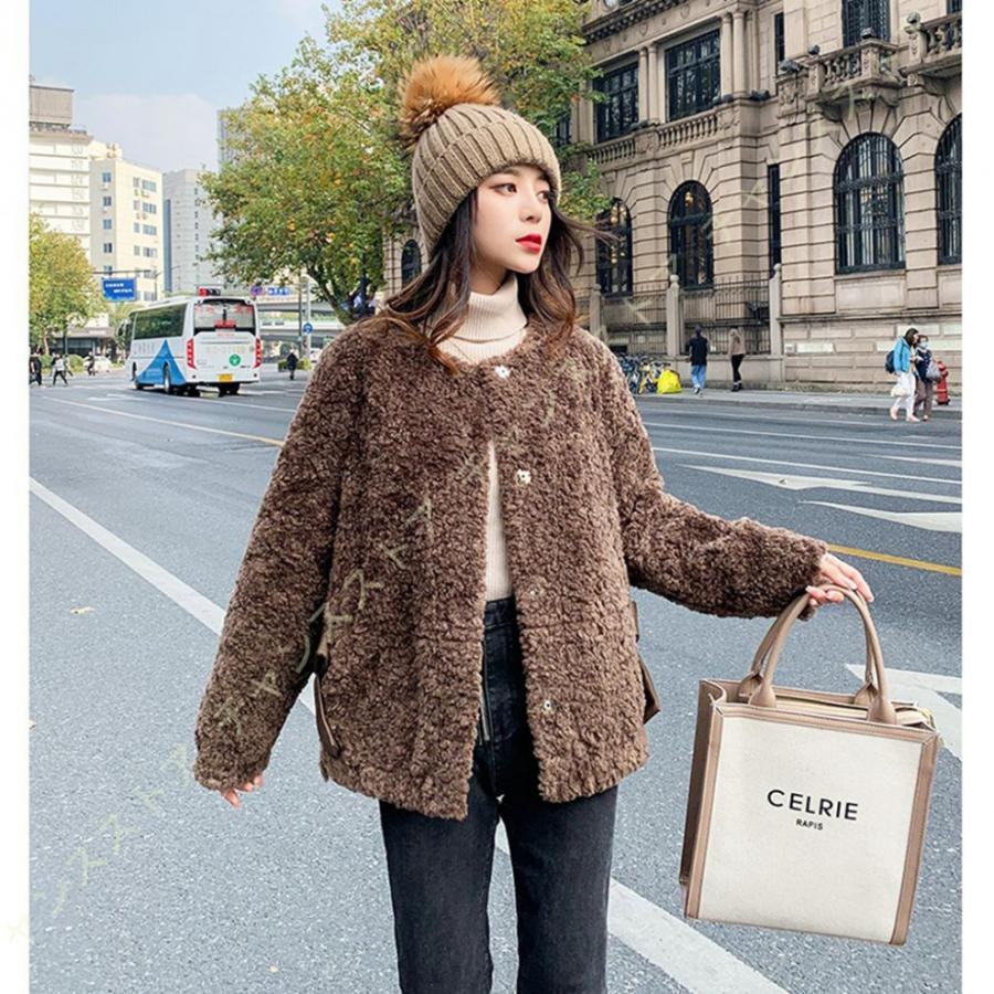 決算特価商品 ボアブルゾン ボアジャケット フワフワ ボアコート ボア ブルゾン ジャケット コート アウター マウンテンパーカー フリースジャケット クルーネック もこもこ フリースジャケット サイズ L Medicalvisaperu Com