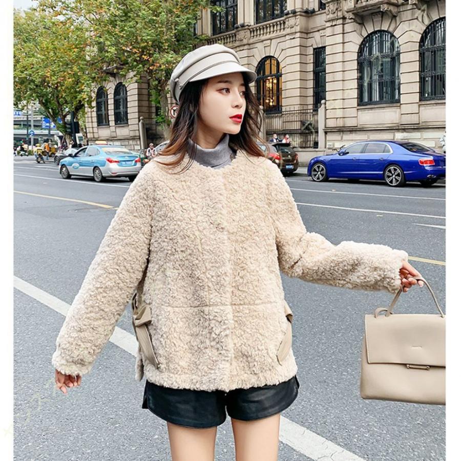 決算特価商品 ボアブルゾン ボアジャケット フワフワ ボアコート ボア ブルゾン ジャケット コート アウター マウンテンパーカー フリースジャケット クルーネック もこもこ フリースジャケット サイズ L Medicalvisaperu Com