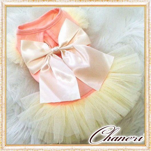 犬用ドレス 大きなリボン付き クリーム色 犬 服【Sale】大きなリボンのチュチュフリルドレス/Petstyle : Chaneri