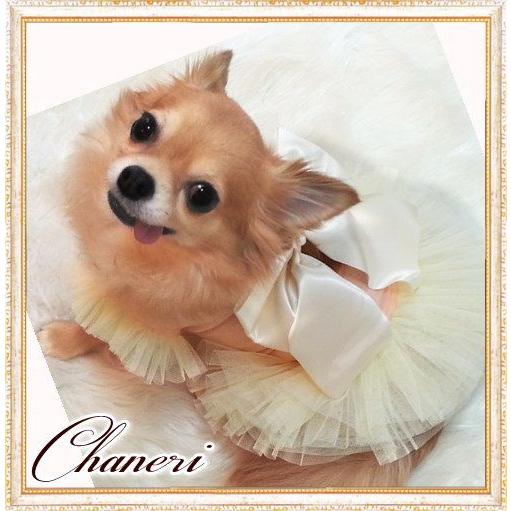 犬 服【Sale】大きなリボンのチュチュフリルドレス/Petstyle : Chaneri