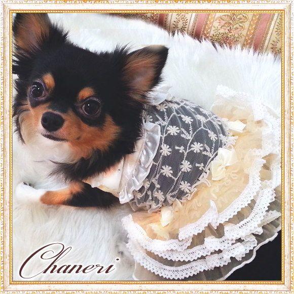 犬 服【Sale】クリームレースフリルドレス/Petstyle : Chaneri - 通販