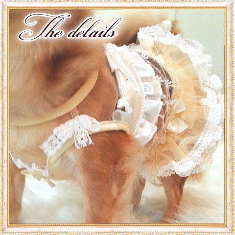 犬 服【Sale】クリームレースフリルドレス/Petstyle : Chaneri - 通販