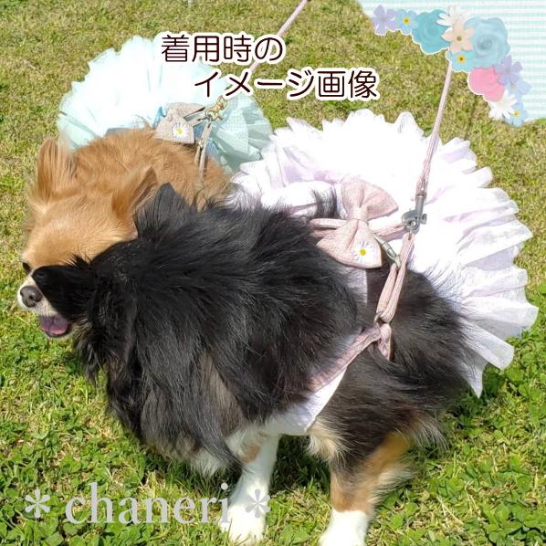 初入荷】愛犬用 ナチュラルカラー デイジー刺しゅうのハーネス＆リード