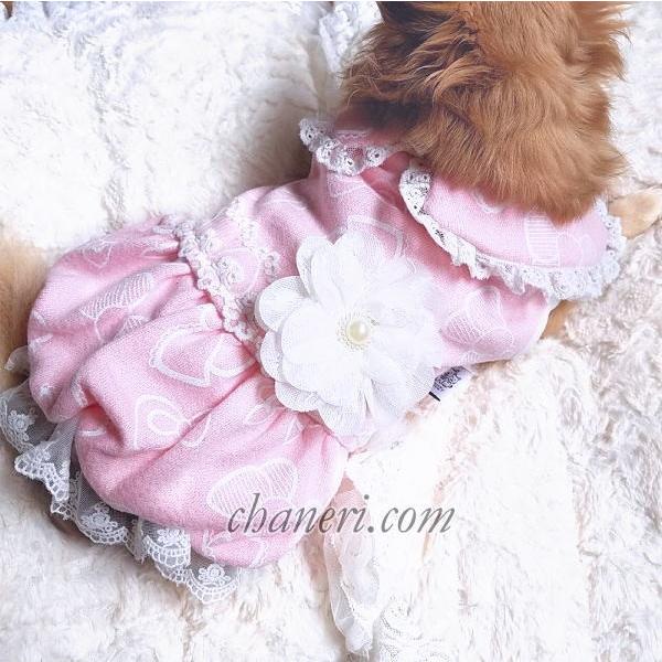 犬 服 秋 冬 犬の服 ドッグウェア 再入荷 お上品スタイル の バルーン