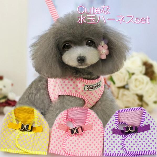 初入荷】最終Sale Cuteな水玉のハーネス＆リードセット【Brothercatdog