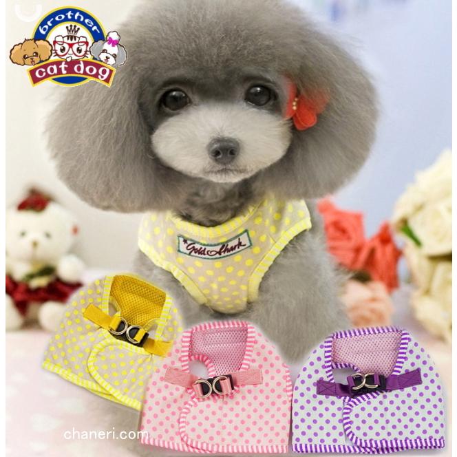 初入荷】最終Sale Cuteな水玉のハーネス＆リードセット【Brothercatdog
