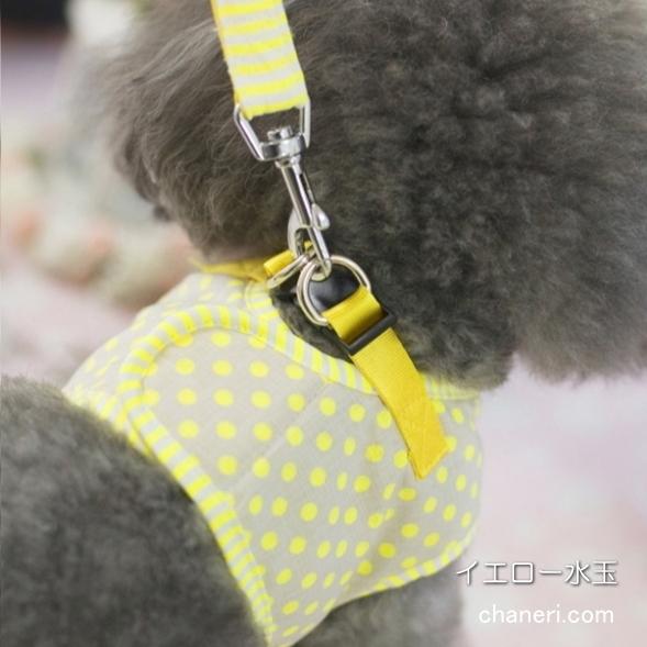 初入荷】最終Sale Cuteな水玉のハーネス＆リードセット【Brothercatdog