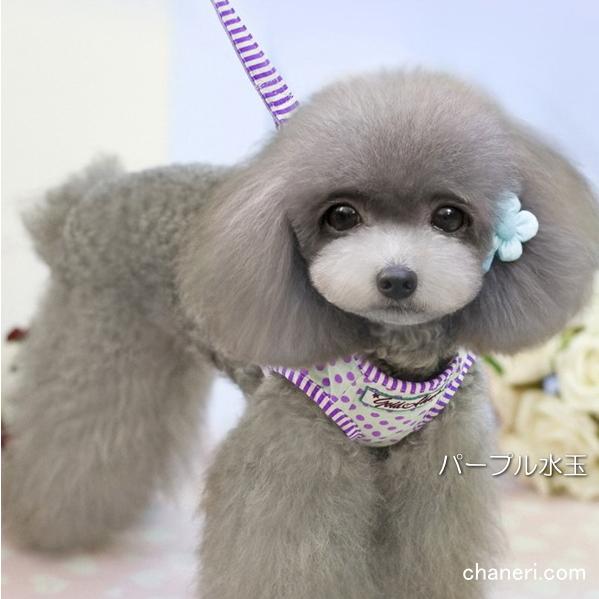 ハンドメイド ハーネス ワンピ型 パープル系 ドット Sサイズ 犬用ハーネス4dox｜H・Y形状｜引っ張る力を均等分散｜高品質パッド入り