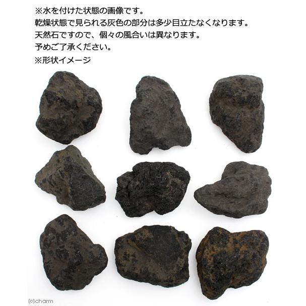 チャーム（charm） 形状お任せ 浅間溶岩石 XLサイズ（約23