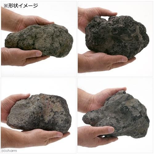 チャーム（charm） 浅間溶岩石 XLサイズ 約23〜30cm 1個 形状