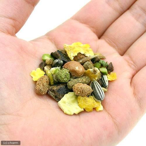 三晃商会 リス・ハムブレンド お徳用 1kg×4 ハムスターフード えさ