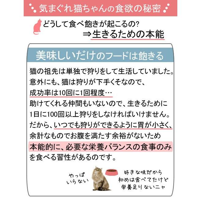 ロイヤルカナン（ROYAL CANIN） 猫 エイジング 12＋ 85g 1箱48