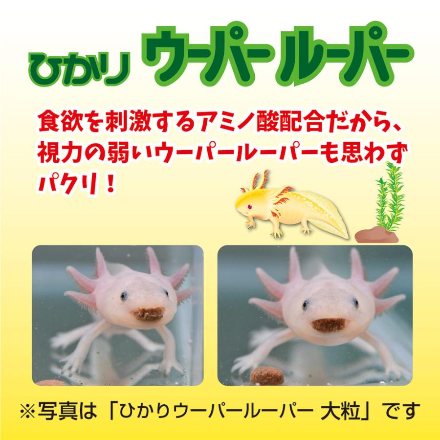 うーぱーるーぱー 1583988853-3582x3158.png.0.