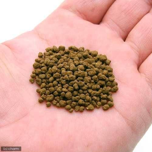 超高機能性活性底床材 ブルカミアD 8kg 3袋セット 弱酸性
