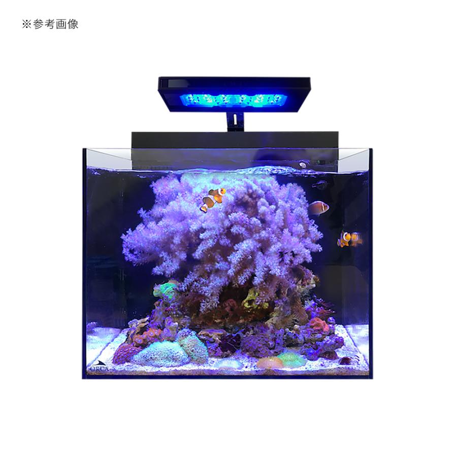 レッドシー 水槽セット SHELL2 シェル オールインワン レッドシー 水槽セット SHELL2 シェル オールインワン