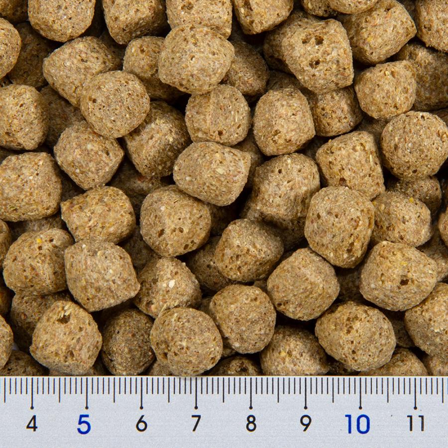 GEX（ジェックス） ゴールデンハムスター専用フード2種＋おやつセット