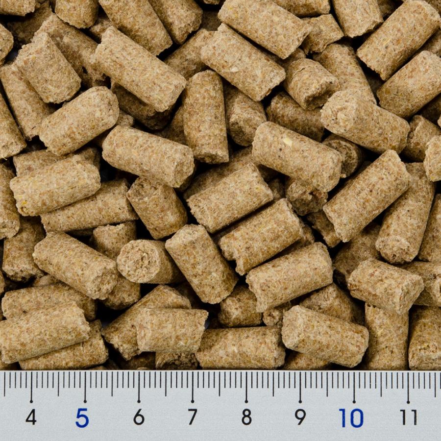 GEX（ジェックス） ゴールデンハムスター専用フード2種＋おやつセット