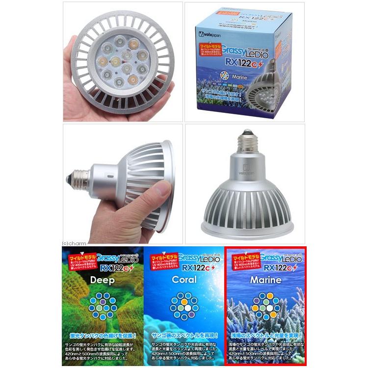 待望☆】 ボルクスジャパン Grassy LeDio RX122c Marine マリン 沖縄別途送料13 370円 sebichou.pl 待望☆】 ボルクスジャパン Grassy LeDio RX122c Marine マリン 沖縄別途送料13 370円 sebichou.pl