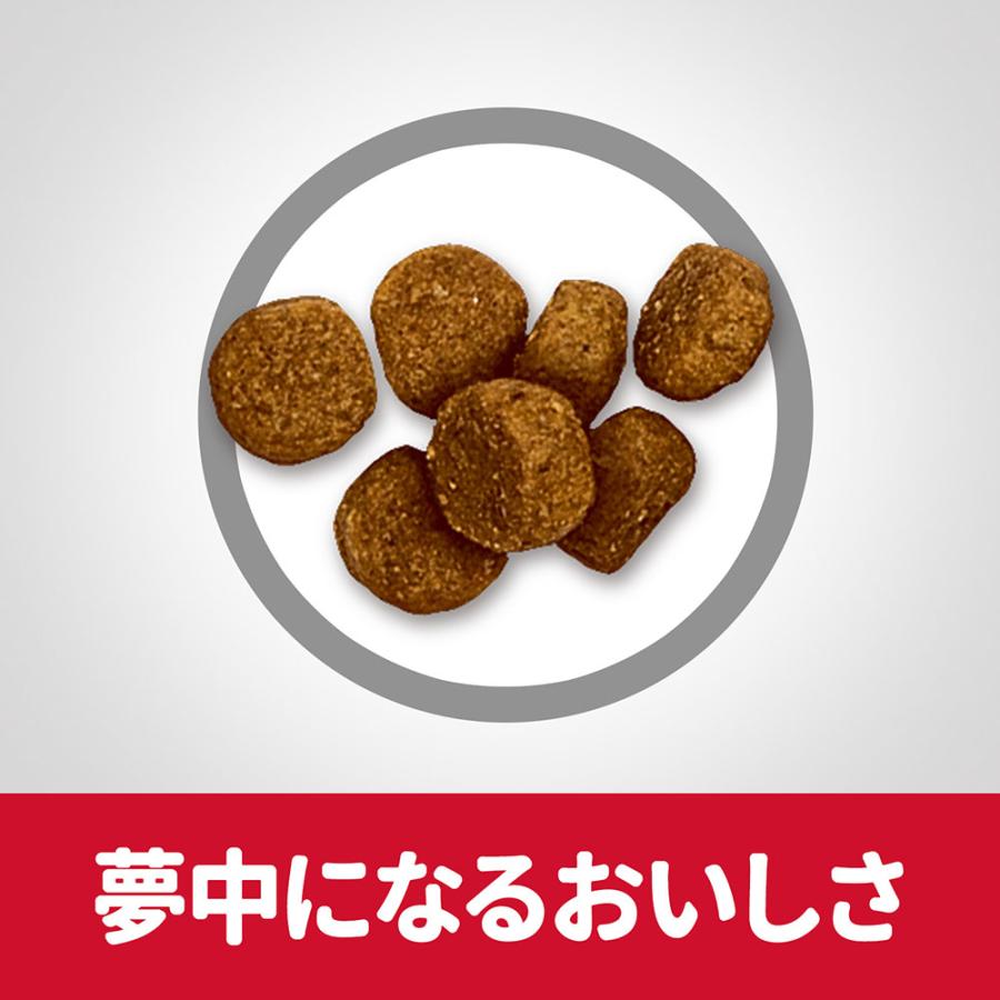 ドッグフード　サイエンスダイエット　パピー　１２ヶ月まで　小粒　子いぬ用　チキン　３．３ｋｇ×２袋　ヒルズ　犬_6