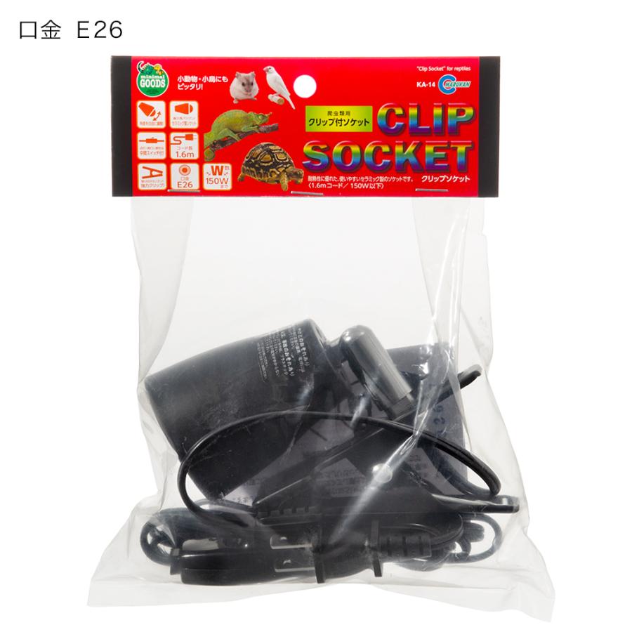 チャーム(ペット) フトアゴヒゲトカゲ飼育セット (90cm チャーム(ペット) フトアゴヒゲトカゲ飼育セット (90cm