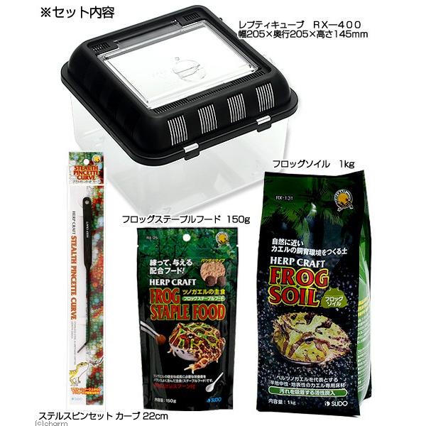 開催中 ツノガエル飼育セット ディスカウント